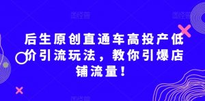 后生原创直通车高投产低价引流玩法，教你引爆店铺流量！-沐风资源库