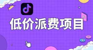 抖音低价派单项目,0门槛,日入1000+很轻松,小白可操作【揭秘】-沐风资源库