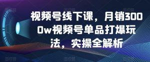 视频号线下课，月销3000w视频号单品打爆玩法，实操全解析-沐风资源库