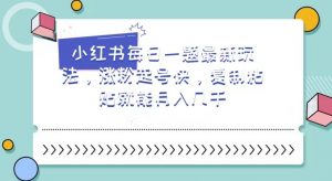 小红书每日一题最新玩法，涨粉起号快，复制粘贴就能月入几千【揭秘】-沐风资源库