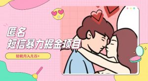 全网首发，揭秘超冷门匿名短信项目，通过信息差日入几百+【揭秘】-沐风资源库