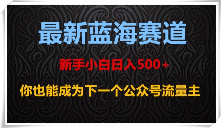 最新蓝海赛道，新手小白日入500+，你也能成为下一个公众号流量主【揭秘】-沐风资源库