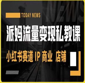 派妈流量变现私教课，小红书赛道IP  商业  店铺 -沐风资源库