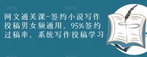 网文通关课-签约小说写作投稿男女频通用，95%签约过稿率，系统写作投稿学习-沐风资源库
