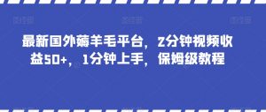 最新国外薅羊毛平台，2分钟视频收益50+，1分钟上手，保姆级教程【揭秘】-沐风资源库