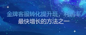 金牌客服转化提升班，利润率最快增长的方法之一-沐风资源库
