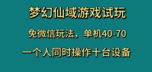 梦幻仙域游戏试玩，免微信玩法，单机40-70，一个人同时操作十台设备【揭秘】-沐风资源库