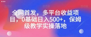 全网首发，多平台收益项目，0基础日入500+，保姆级教学实操落地【揭秘】-沐风资源库