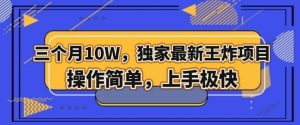 三个月10W，独家最新王炸项目！操作简单，上手极快【揭秘】-沐风资源库