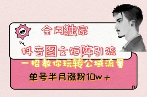 全网独家抖音图文矩阵引流，一招教你玩转公域流量，单号半月涨粉10w+【揭秘】-沐风资源库