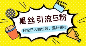 S粉变现，轻松日入四位数，黑丝题材+情感话术【揭秘】-沐风资源库