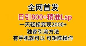 全网首发！日引800+精准老色批，一天变现2000+，独家引流方法，可矩阵操作【揭秘】-沐风资源库