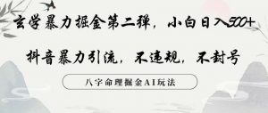 玄学暴力掘金第二弹，小白日入500+，抖音暴力引流，不违规，术封号，八字命理掘金AI玩法【揭秘】-沐风资源库