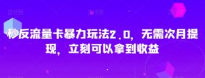 秒反流量卡暴力玩法2.0，无需次月提现，立刻可以拿到收益【揭秘】-沐风资源库