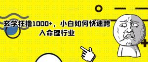 玄学狂撸1000+，小白如何快速跨入命理行业【揭秘】-沐风资源库