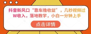 抖音新风口“靠车撸收益”，几秒视频过W收入，落地教学，小白一分钟上手【揭秘】-沐风资源库