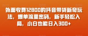 外面收费12800的抖音带货新奇玩法，爆单流量密码，新手轻松入局，小白也能日入300+【揭秘】-沐风资源库