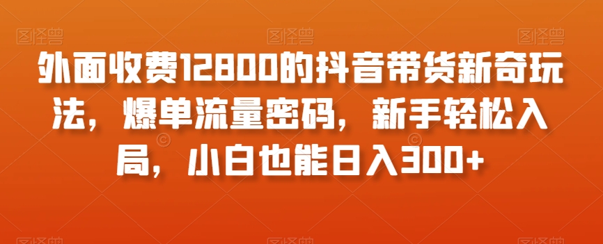 外面收费12800的抖音带货新奇玩法，爆单流量密码，新手轻松入局，小白也能日入300+【揭秘】-沐风资源库
