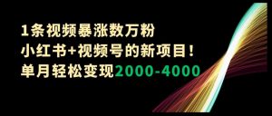 1条视频暴涨数万粉–小红书+视频号的新项目！单月轻松变现2000-4000【揭秘】-沐风资源库