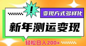 新年运势测试变现，日入200+，几分钟一条作品，变现方式多样化【揭秘】-沐风资源库