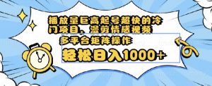 播放量巨高起号超快的冷门项目，漫剪情感视频，可多平台矩阵操作，轻松日入1000+【揭秘】-沐风资源库