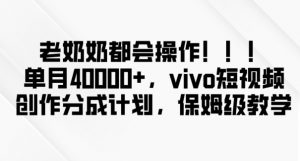老奶奶都会操作，新平台无脑操作，单月40000+，vivo短视频创作分成计划【揭秘】-沐风资源库
