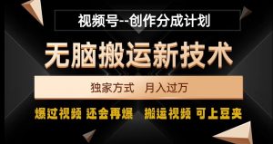 视频号无脑搬运新技术，破原创壕流量，独家方式，爆过视频，还会再爆【揭秘】-沐风资源库