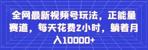 全网最新视频号玩法，正能量赛道，每天花费2小时，躺着月入10000+【揭秘】-沐风资源库