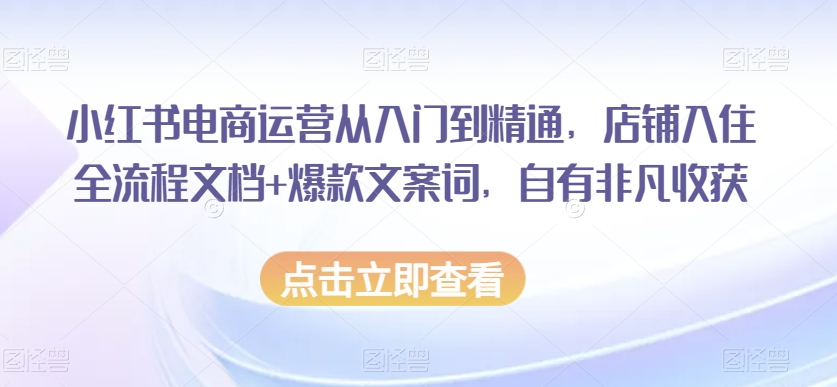 小红书电商运营从入门到精通，店铺入住全流程文档+爆款文案词，自有非凡收获-沐风资源库