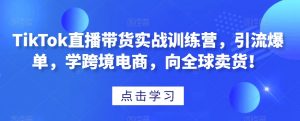 TikTok直播带货实战训练营，引流爆单，学跨境电商，向全球卖货！-沐风资源库