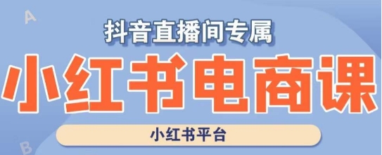 小红书电商高级运营课程，实操教学+案例分析-沐风资源库