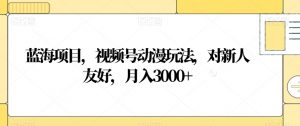 蓝海项目，视频号动漫玩法，对新人友好，月入3000+【揭秘】-沐风资源库