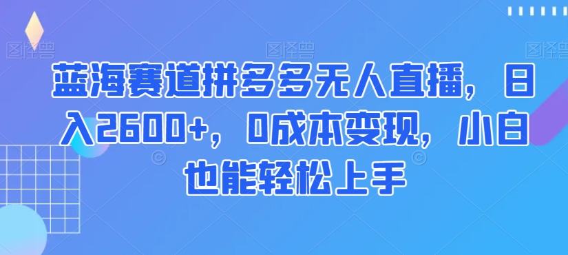 蓝海赛道拼多多无人直播，日入2600+，0成本变现，小白也能轻松上手【揭秘】-沐风资源库