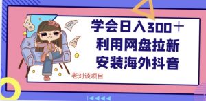 学会日入300＋，利用网盘拉新安装海外抖音保姆级教学【揭秘】-沐风资源库