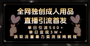 全网独创真人主播+无人直播单日引流500+，橙人用品暴力卖货单日变现3W+保姆似教学2.0【揭秘】-沐风资源库