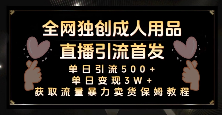 全网独创真人主播+无人直播单日引流500+，橙人用品暴力卖货单日变现3W+保姆似教学2.0【揭秘】-沐风资源库