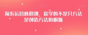 淘系运营核心课，你学的不是只方法是创造方法的根源-沐风资源库