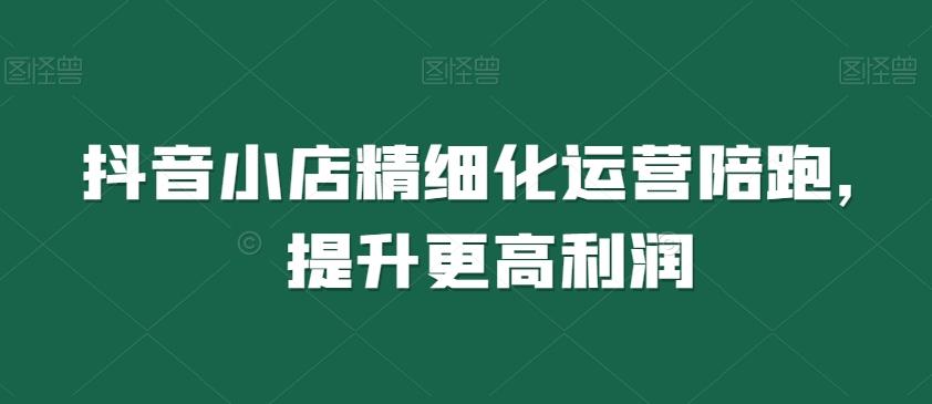 抖音小店精细化运营陪跑，提升更高利润-沐风资源库