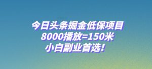 今日头条掘金低保项目，8000播放=150米，小白副业首选【揭秘】-沐风资源库