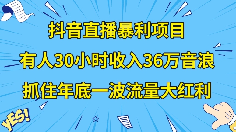 抖音直播暴利项目，有人30小时收入36万音浪，公司宣传片年会视频制作，抓住年底一波流量大红利【揭秘】-沐风资源库
