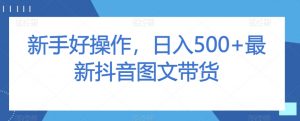 新手好操作，日入500+最新抖音图文带货【揭秘】-沐风资源库