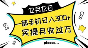 【全网变现首发】新手实操单号日入500+，渠道收益稳定，项目可批量放大【揭秘】-沐风资源库