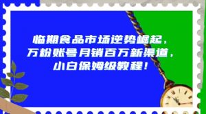 临期食品市场逆势崛起，万粉账号月销百万新渠道，小白保姆级教程【揭秘】-沐风资源库