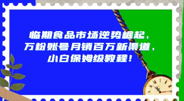 临期食品市场逆势崛起，万粉账号月销百万新渠道，小白保姆级教程【揭秘】-沐风资源库