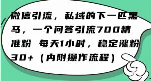 怎么搞精准创业粉？微信新赛道，每天一小时，利用Ai一个问答日引100精准粉-沐风资源库