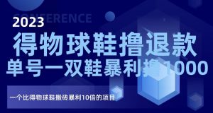 2023得物球鞋撸退款，单号一双鞋暴利撸1000，一个比得物球鞋搬砖暴利10倍的项目【揭秘】-沐风资源库