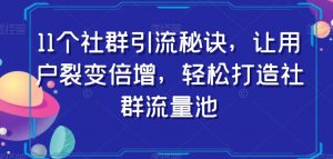 11个社群引流秘诀，让用户裂变倍增，轻松打造社群流量池-沐风资源库