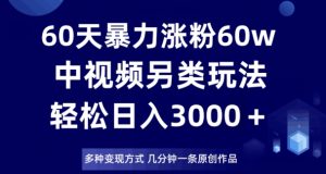60天暴力涨粉60W，中视频另类玩法，日入3000＋，几分钟一条原创作品多种变现方式-沐风资源库