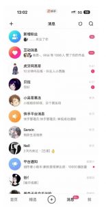蓝海项目，靠单身经济月入过万，一部手机即可操作，小白首选副业【揭秘】-沐风资源库