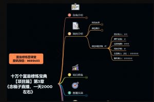 十万个富翁修炼宝典之3.念稿子直播，一天2000左右-沐风资源库